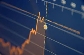 Hedge Fund Manager